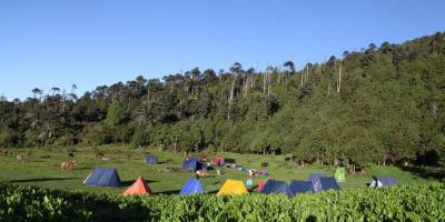Druk Path Trek