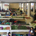 Centenary Farmer Market