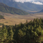 Gangtey Nature Trail