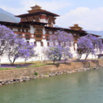Punakha Dzong Header