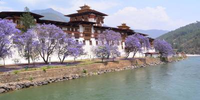 Punakha Dzong