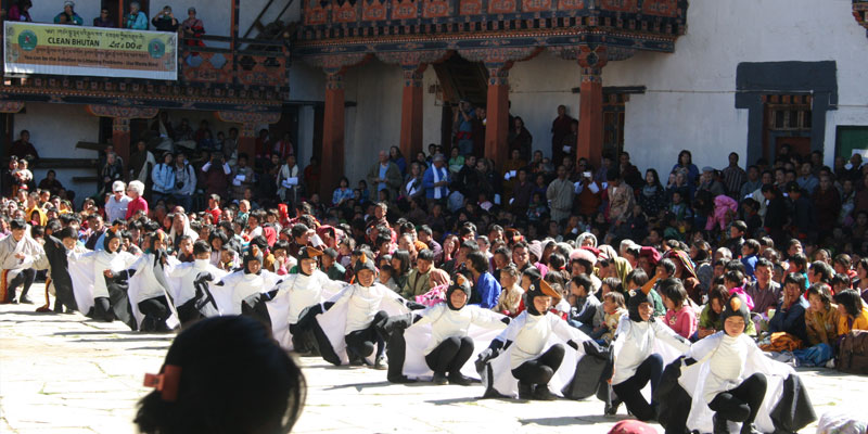 Black-Necked Crane Festival